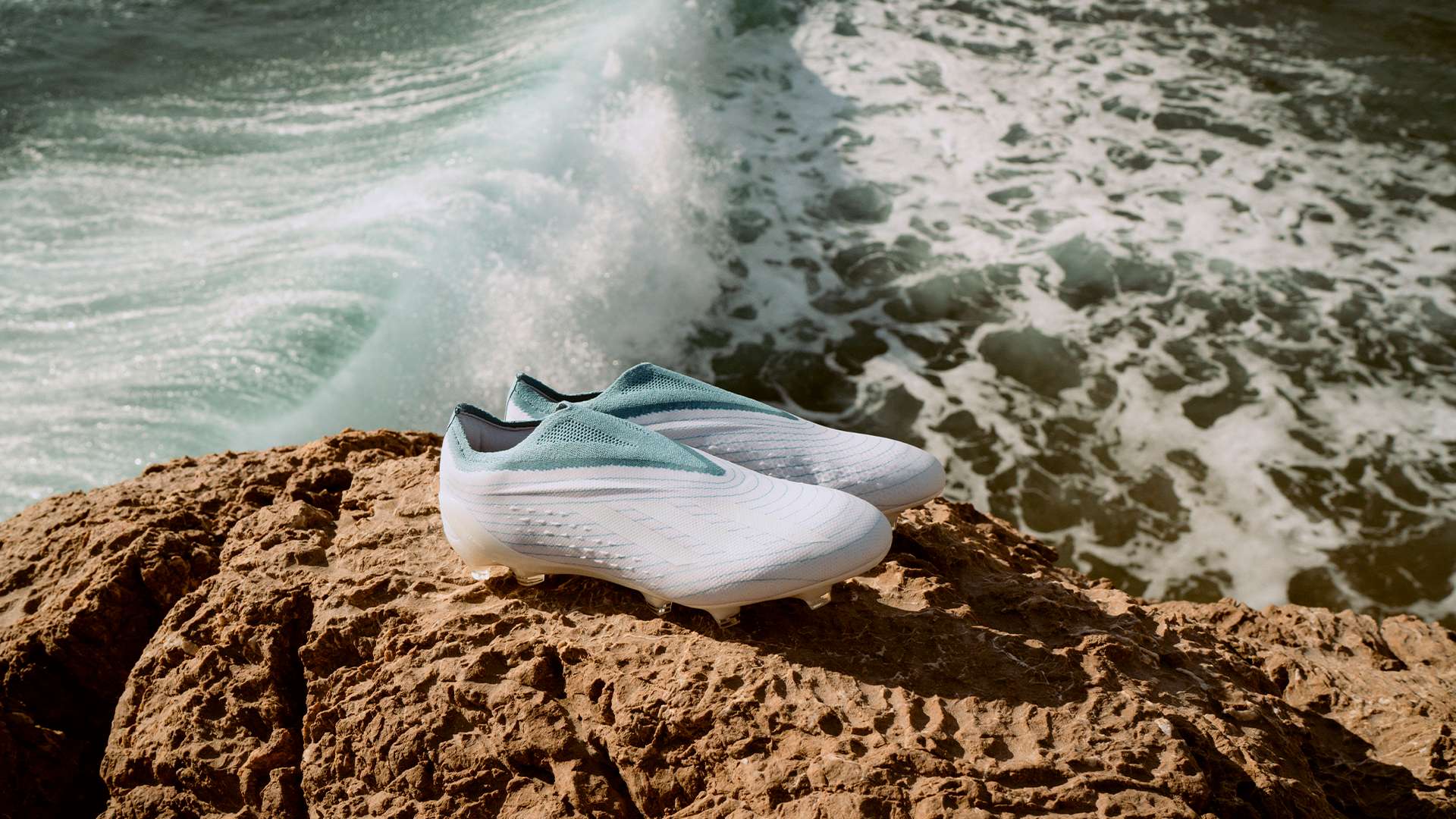 然未能取得 然未能取得